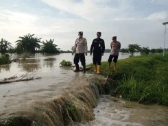 Banjir Berangsur Surut, 450 Warga Kabupaten Cilacap Kembali ke Rumah